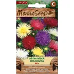 MoravoSeed Astra nízká jehlicovitá mix…