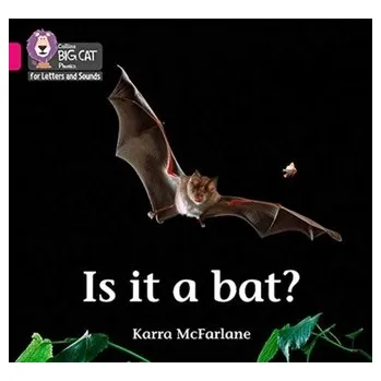 Učebnice Is it a Bat? - McFarlane, Karra