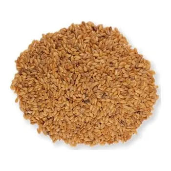 Lněné semínko zlaté 1 kg