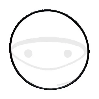 Těsnění motoru Těsnění hlavy válce ATHENA M753504412004 vnější 3.53X104.4 mm