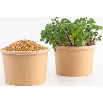 Fóliovník Tiny Greens Bílá hořčice Frosty - BIO semínka na klíčení a microgreens Množství: 200g