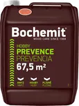 Bochemie Bochemit Hobby 5 kg