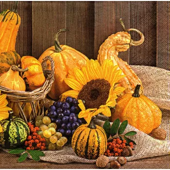 Papírový ubrousek UBR-E108, Ubrousek, 16x16 cm, DÝNĚ, 1 kus