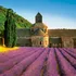 Kalendář Presco Group Voňavý nástěnný kalendář Provence 2024