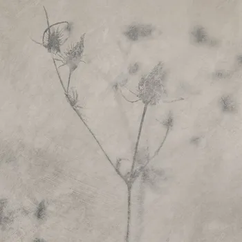 Dlažba Gayafores HERBAL dlažba Almond 16,5x16,5 (0,55m2) HEB006