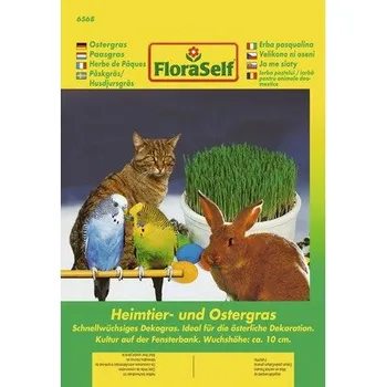 Semeno Bojínek luční 'Phleum pratense Lischka' semena FloraSelf