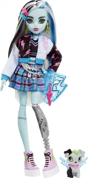 Panenka Mattel Monster High HHK53 Panenka s mazlíčkem