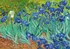 Puzzle ENJOY Puzzle Vincent van Gogh Kosatce 1000 dílků