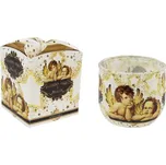 Svíčka vonná ve skle FABULOUS ANGELS, 100g MSC-EX105