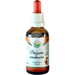 Penízovka sametonohá AF tinktura 50 ml Salvia Paradise