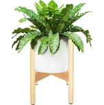 Springos Quarter KWD002 dřevo