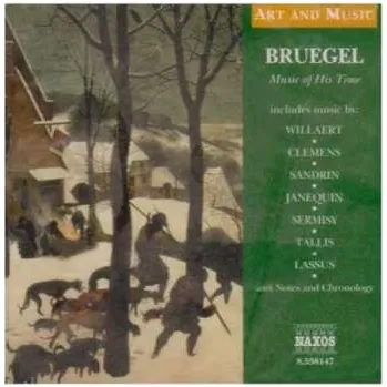 Zahraniční hudba CD Various: Bruegel - Music Of His Time 2004