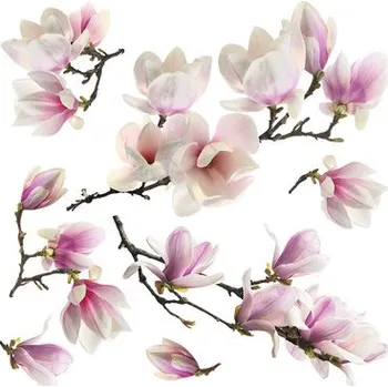 Samolepící dekorace Samolepka na zeď magnolia