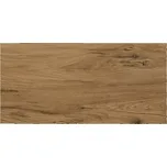 EBS Ashwood dlažba 29,7x59,8 brown ASH3060BR