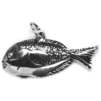 Přívěsek Stříbrný přívěsek korálová ryba bodlok - P135 (Stříbrný přívěsek bodlok pestrý ryba korálová)