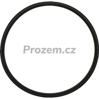Těsnicí kroužek 50,4x2,5 mm pro Horsch, 23010301