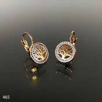 Náušnice Ocelové náušnice č. 465