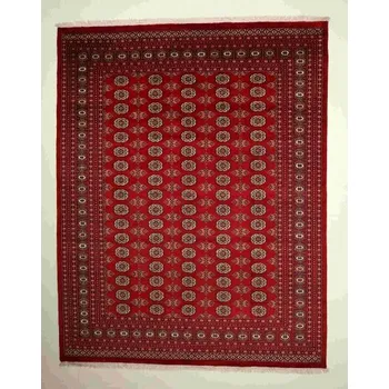 Koberec Orientální koberec Buchara Exkluziv 307x241 cm - B708581