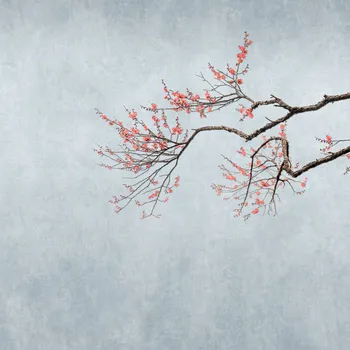 Tapeta Vliesová fototapeta na zeď Rasch 361094, Magic Walls, velikost 2,65 x 2,65 m