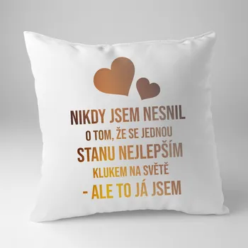 Žertovný předmět Nikdy jsem nesnil o tom, že se jednou stanu nejlepším klukem - polštář