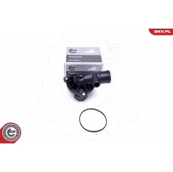 Chladič motoru Termostat, chladivo ESEN SKV 20SKV107