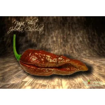Semeno chilli-semena Naga Bhut Jolokia Chocolate