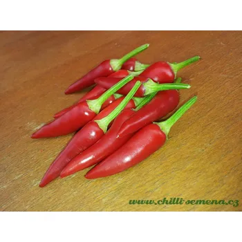 Semeno chilli-semena Bolivian Rainbow