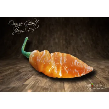Semeno chilli-semena Orange Ghost Jami