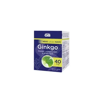 GS Ginkgo 40mg tbl.90+30