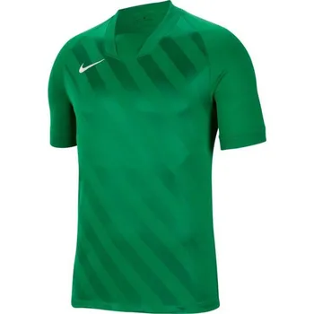 Pánské tričko Dětské zelené tréninkové tričko Dri Fit Challange 3 Y Nike, M i476_96495678