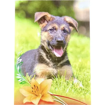 Pohlednice pes - Německý ovčák štěně