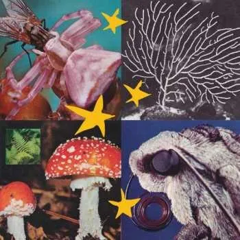 Zahraniční hudba LP Various: All Things Considered 02 2022