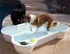 bazén pro psa Bazén pro psa kost 167 x 112 x 29 cm bílý