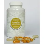 Ondřej Ullrich Boswellie s kurkuminem,…