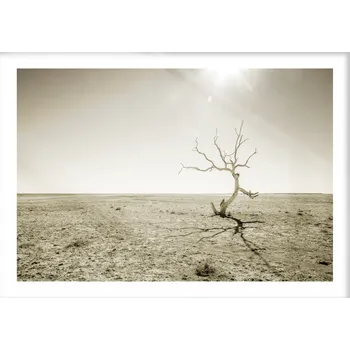 Plakát Plakát / Obraz Strom A4 - 21 x 29,7 cm Pololesklý saténový papír