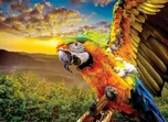Nova Puzzle Papoušek Ara 1000 dílků