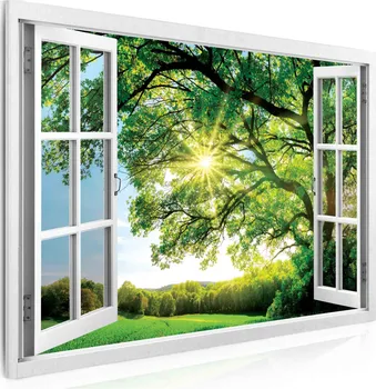 Obraz Malvis Obraz 90 x 60 cm Okno - obrovský strom