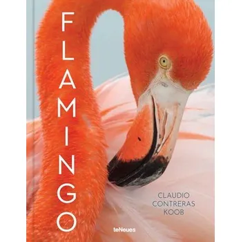 Cizojazyčná kniha Flamingo - Koob, Claudio Contreras