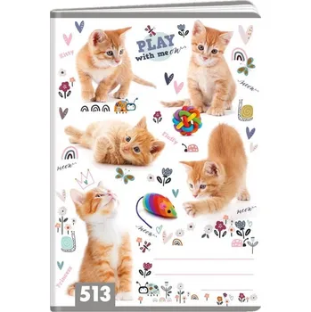 Argus A5/513 10 listů linkovaný