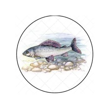 Jedlá dekorace na dort RYBA 12, VARIANTA Jedlý papír 1522