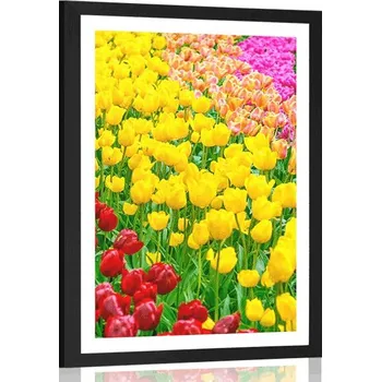 Plakát Dovido Plakát s paspartou zahrada plná tulipánů