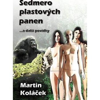 Kniha Sedmero plastových panen Ekniha