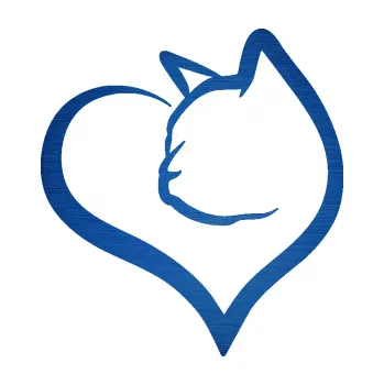 Samolepící dekorace Kočka 027 levá v srdíčku (65 - škrábaný kov modrý) SAMOLEPKA NA AUTO, NÁLEPKA, FÓLIE, POLEP, TUNING, VLASTNÍ TEXT, TISK, AUTOSAMOLEPKY.cz, POLEPY, OBRÁZEK, LOGO, 3D STICKERS