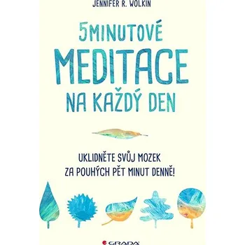 Populárně naučná literatura pro dospělé 5minutové meditace na každý den: Uklidněte svůj mozek za pouhých pět minut denně! Kniha