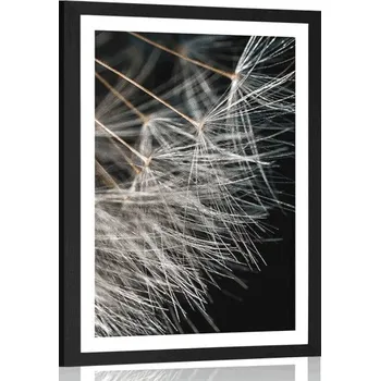 Plakát Dovido Plakát s paspartou krása pampelišky