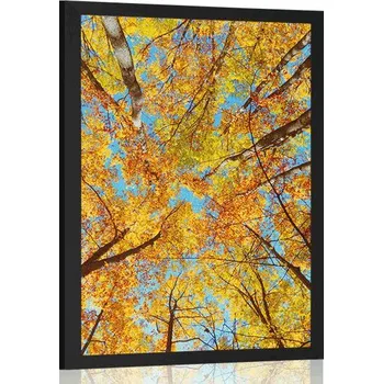 Plakát Dovido Plakát podzimní koruny stromů