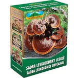 Nohel Garden Lesklokorka lesklá 250 ml