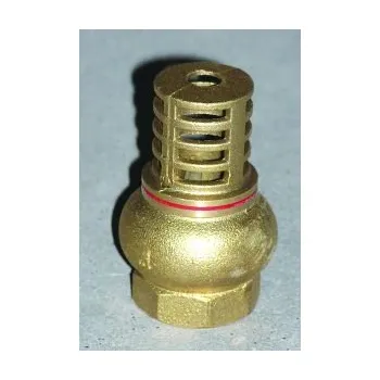 Příslušenství k čerpadlu Koš sací 1" mosaz