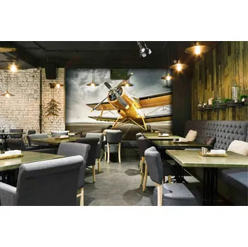 Tapeta Malvis ® Tapeta Žluté letadlo Vel. (šířka x výška): 144 x 105 cm