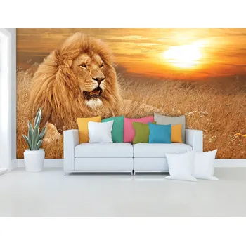 Fototapeta Malvis ® Tapeta Lev v trávě Vel. (šířka x výška): 144 x 105 cm